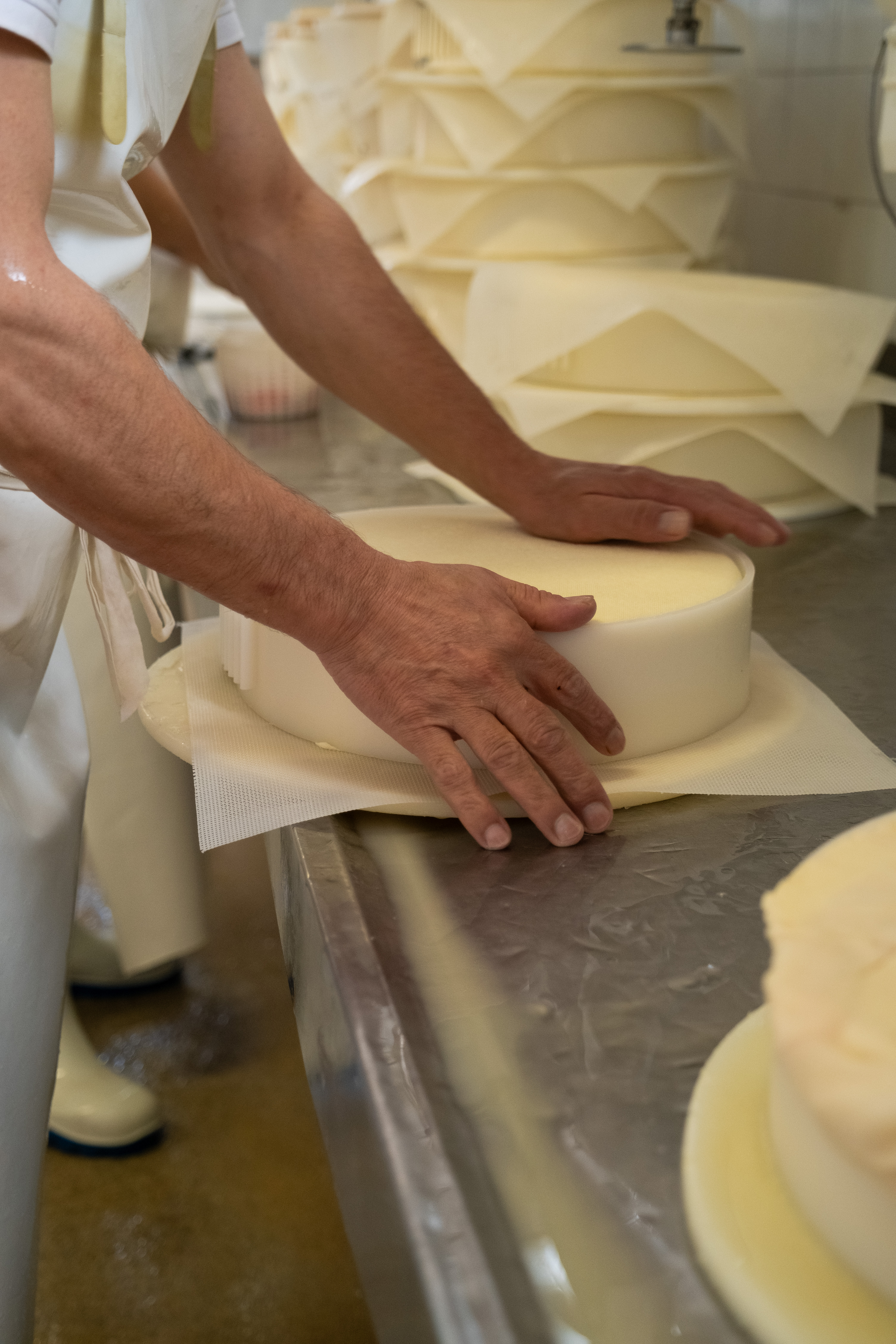 Formaggi artigianali